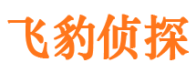 富拉尔基寻人公司